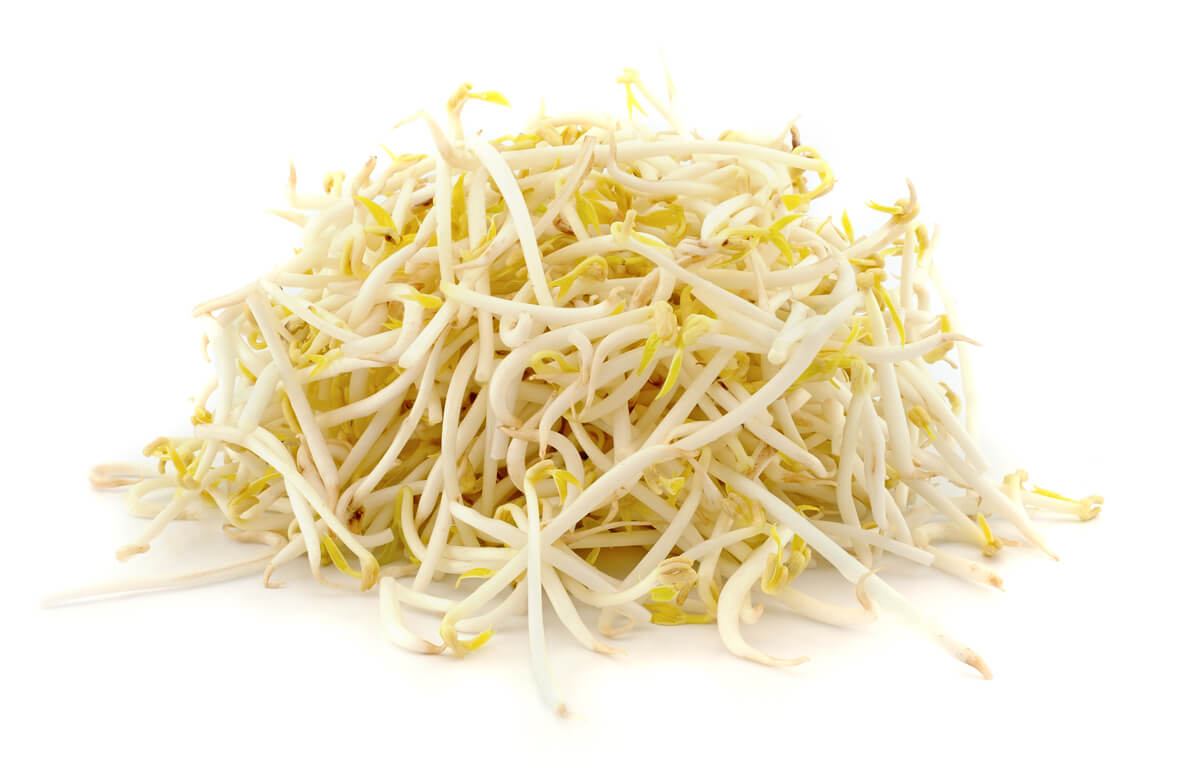 Bean Sprout 豆芽 (1Kg)