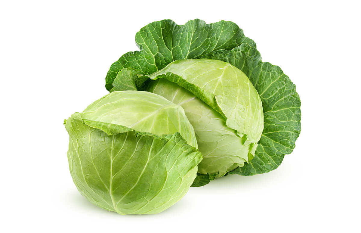 Cabbage 包菜 (18kg--‐20kg/bag)