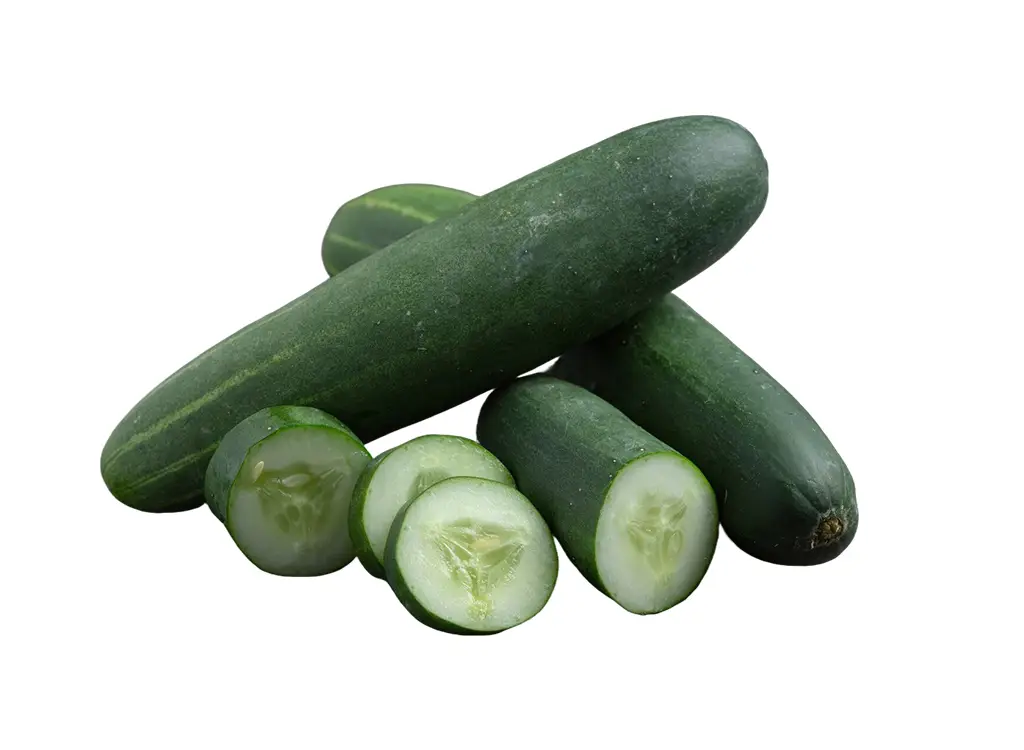 Cucumber Loose 黄瓜散
