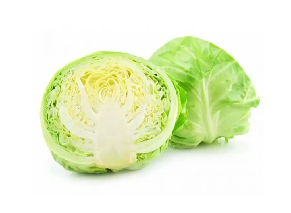 Beijing Cabbage Cut 北京包菜切