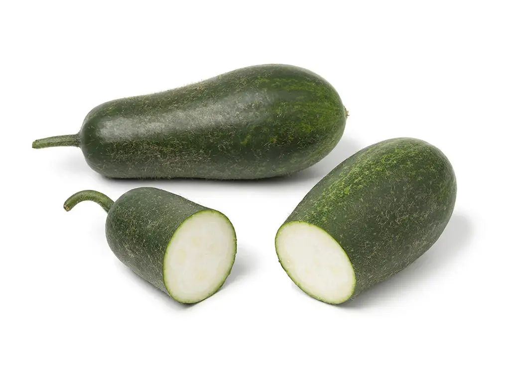 Hairy Melon Loose