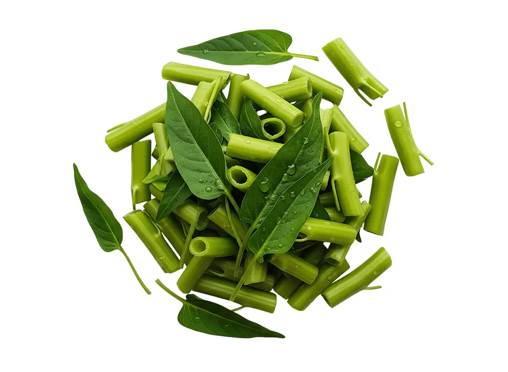 Kangkong Cut 空心菜切