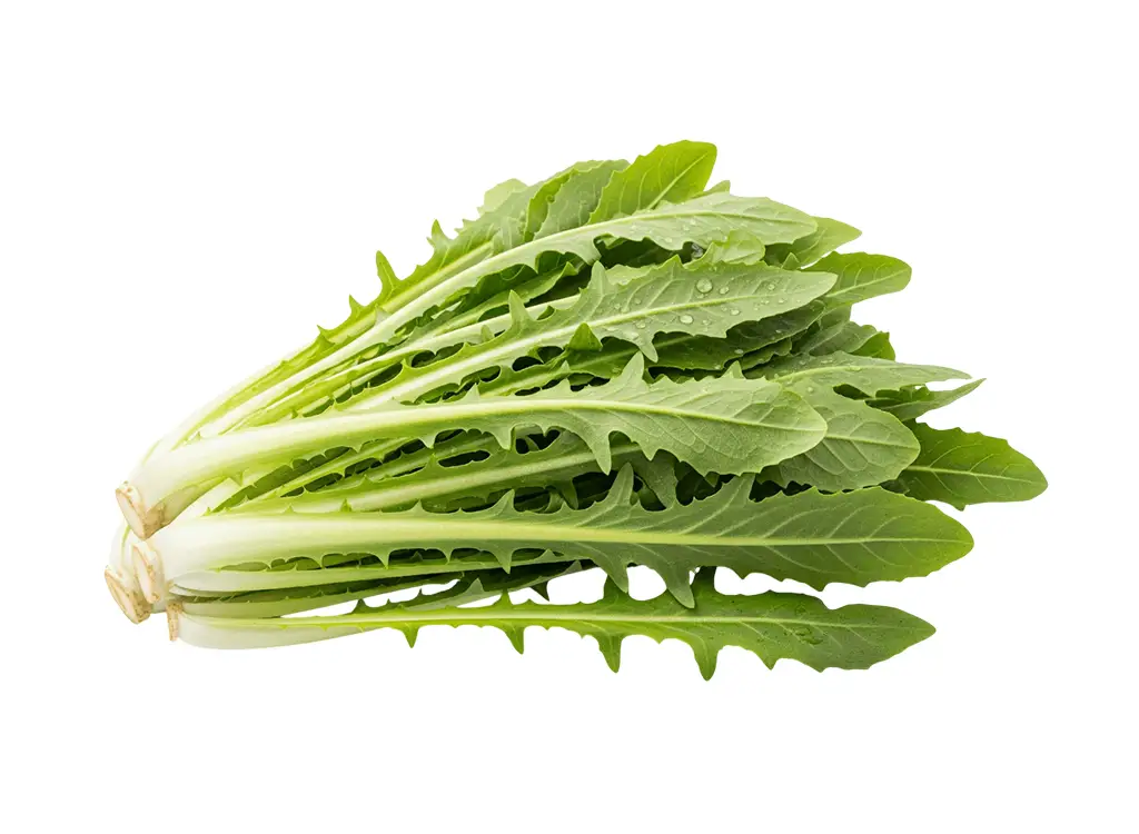 Pa Bo Cai Loose (Local Endive) 老婆菜散