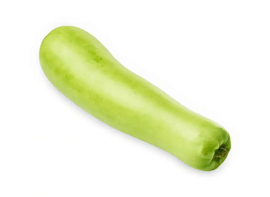 Bottle Gourd Loose 白莆散