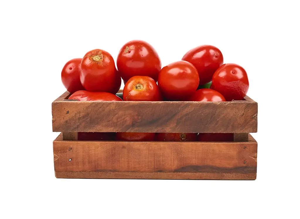 Tomato CTN 蕃茄箱 (10Kg)