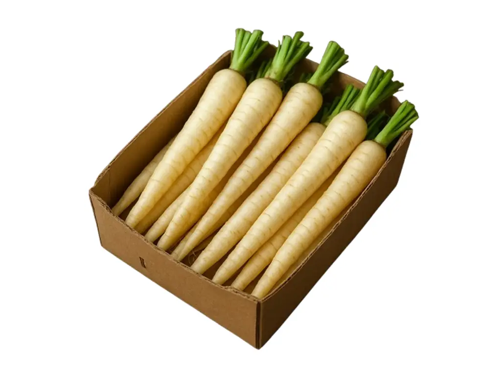 White Carrot CTN 白罗卜箱 (10Kg)